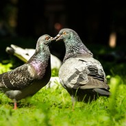 Ahora toca escena de sexo… oh, oh